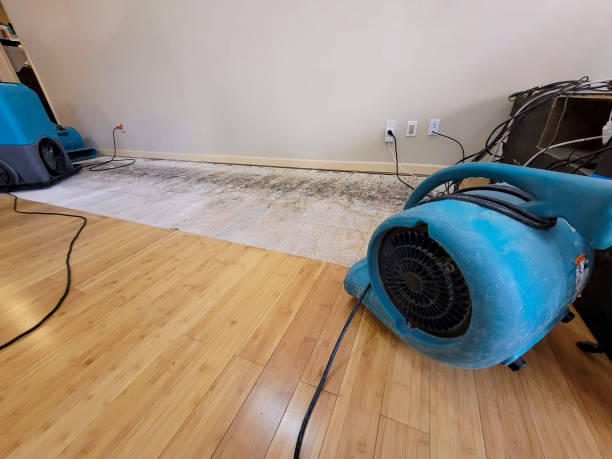 Professional Sewage Cleanup technician working in Sun Prairie, WI